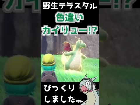 野生のテラスタル色違いカイリューと遭遇！！厳選可能か検証してみた【ポケモンSV #shorts】