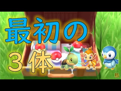 【BDSP】ナエトル・ヒコザル・ポッチャマの最初の３体の特徴を解説！ーブリリアントダイヤモンド・シャイニングパールに向けて覚えておくと役立つ知識ー