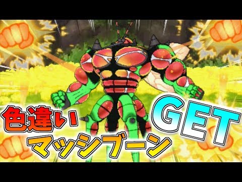 【ポケモンUSM】色違いマッシブーンゲットしました【ゆっくり実況】ウルトラサン ムーン