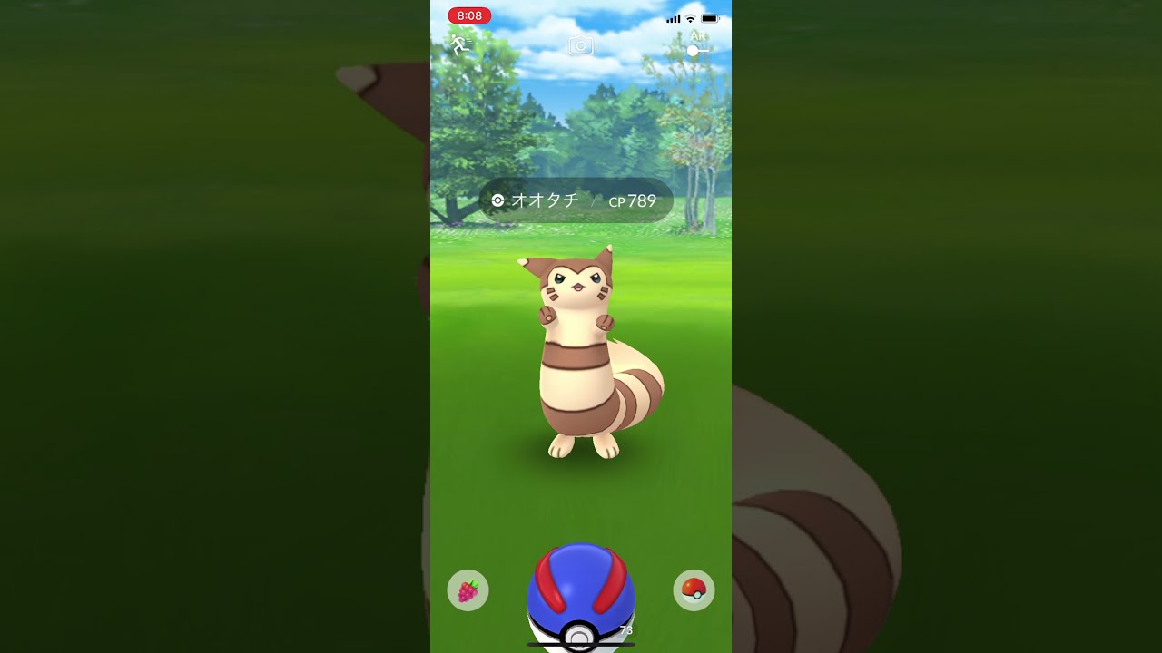 【ポケモンGO】野生のオオタチ Wild pokemon Furret #shorts