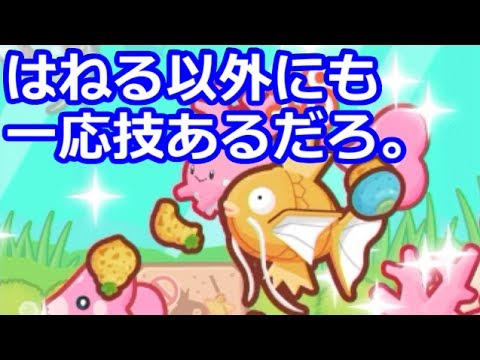 金のコイキングの一生。 【はねろ！コイキング】