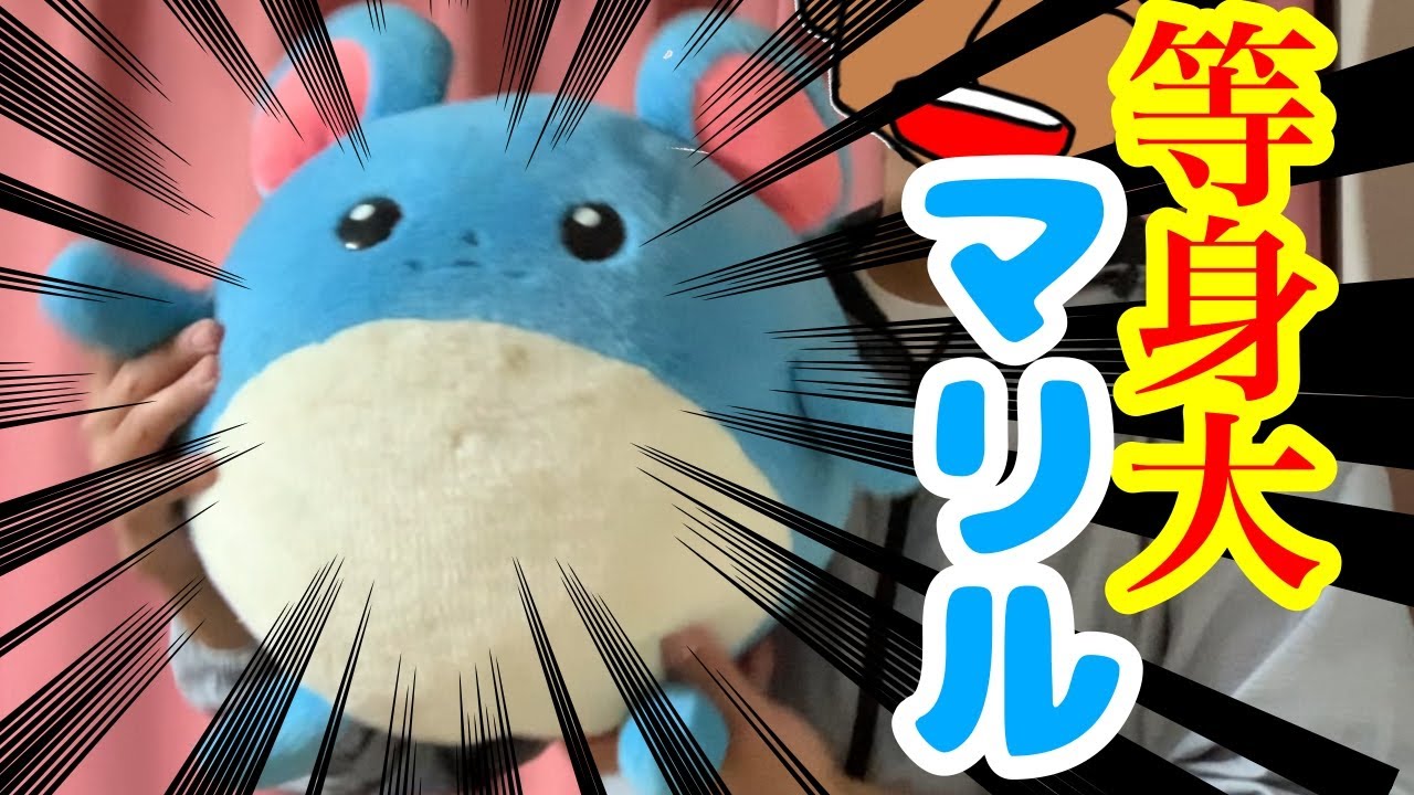 [お宝]等身大マリルのぬいぐるみを手に入れた！[再UP]