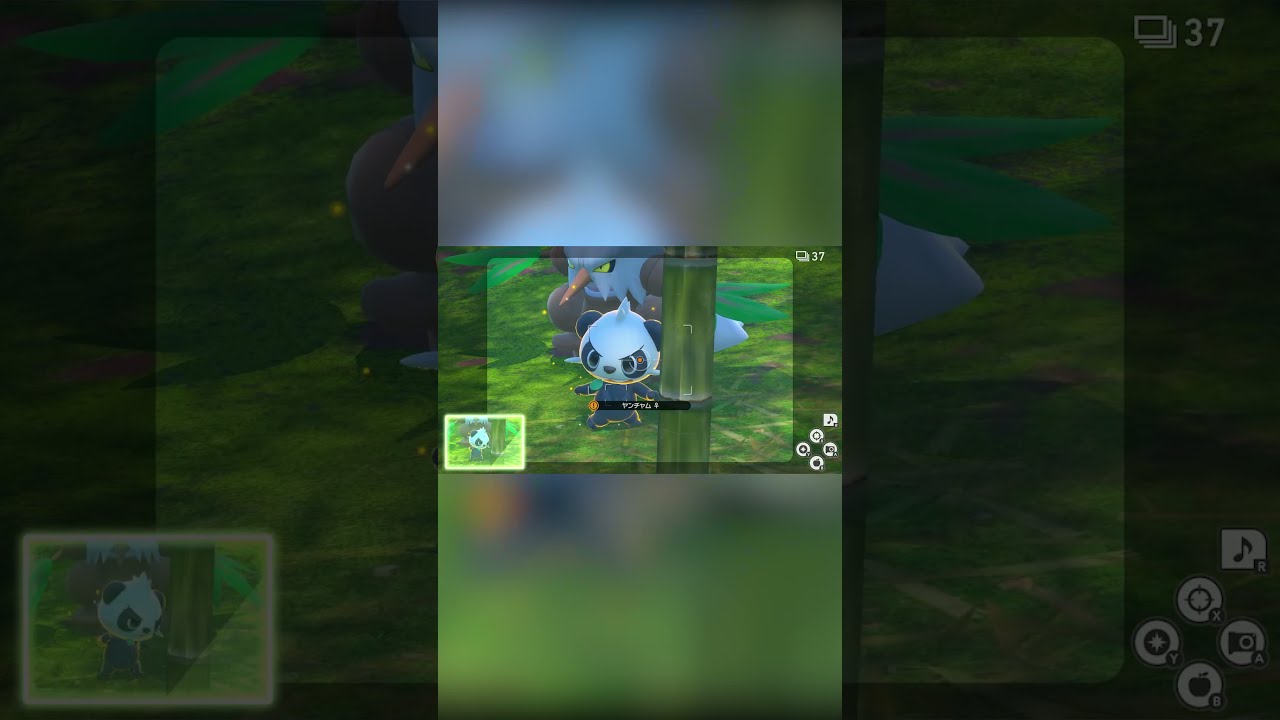 【Newポケモンスナップ NEW POKÉMON SNAP】ダーテング師匠と愛弟子ヤンチャム #shorts