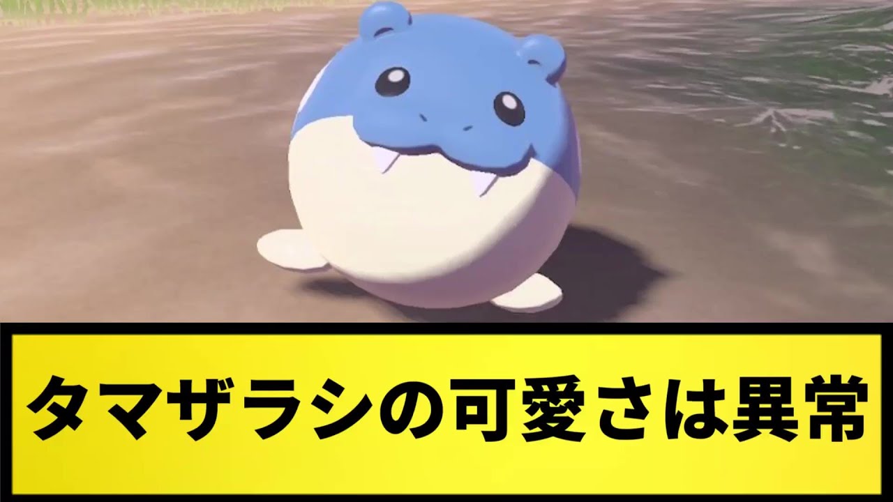 【かわいい】タマザラシの可愛さは異常だよな【なんJ反応】【ポケモン反応集】【ポケモンSV】【5chスレ】【ゆっくり解説】