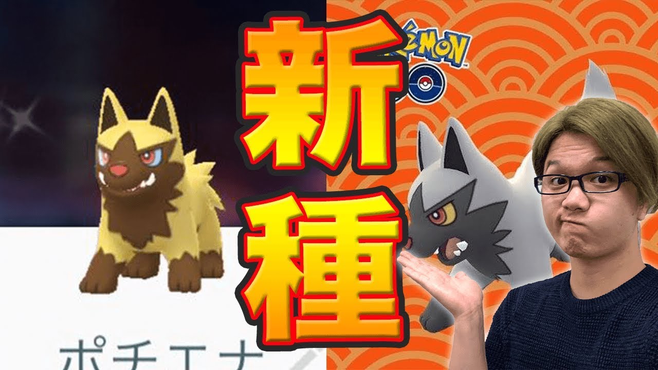 金ポチエナ登場!犬ポケ出現率アップ突然スタートした件【ポケモンGO】