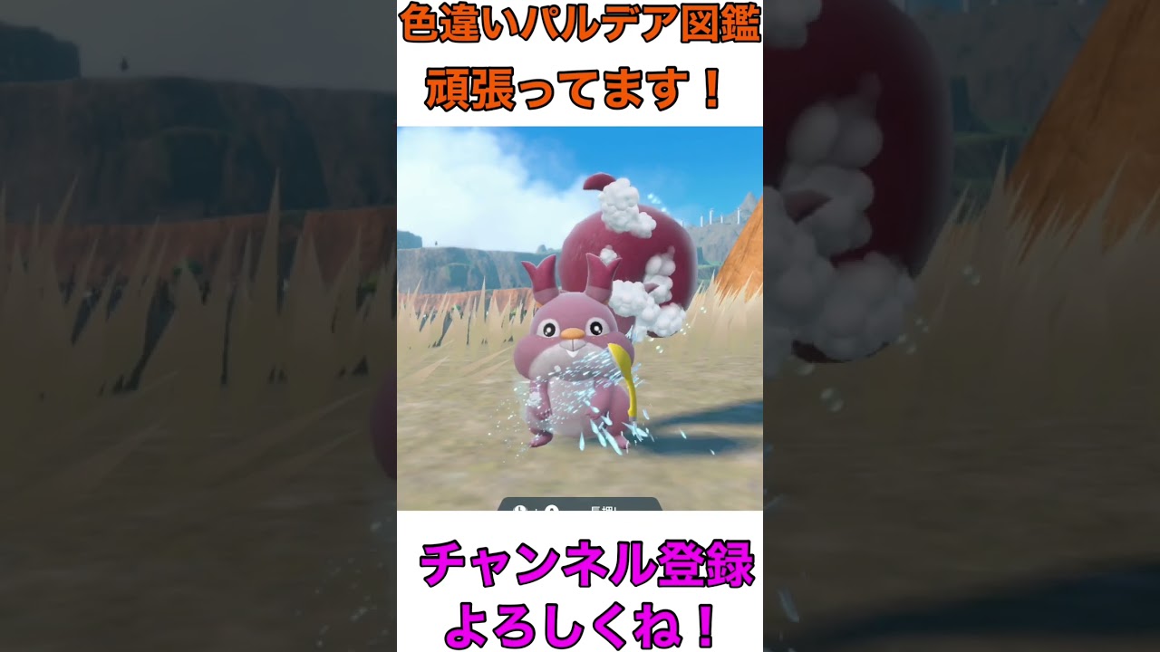 めちゃくちゃ可愛いリスに遭遇！#ホシガリス#ヨクバリス#ポケモンsv #色違い #スカーレットバイオレット #pokemon #ポケットモンスター