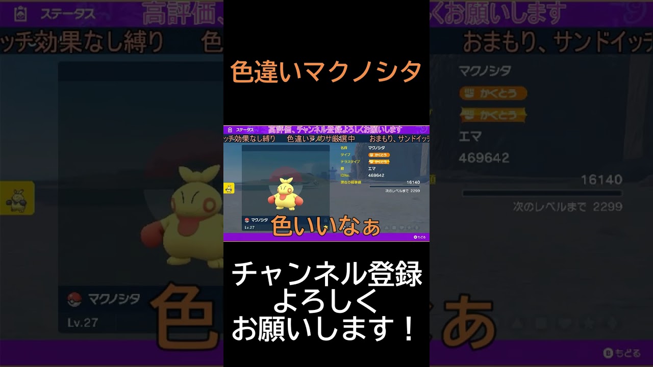 【ポケモンSV】色違いマクノシタ#shorts #ポケモン #ポケモンSV #バイオレットスカーレット #エマリタナイン #色違い #マクノシタ