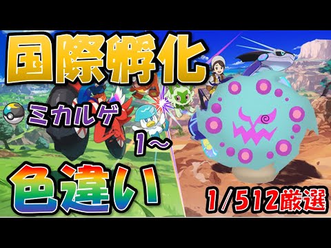 【ポケモンSV】国際孵化色違い厳選　ミカルゲ　１～　１日目