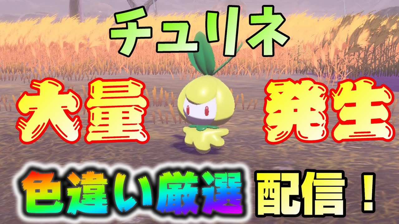【Pokémon LEGENDS アルセウス】色違いのチュリネをゲットしたい！！【色違い厳選】