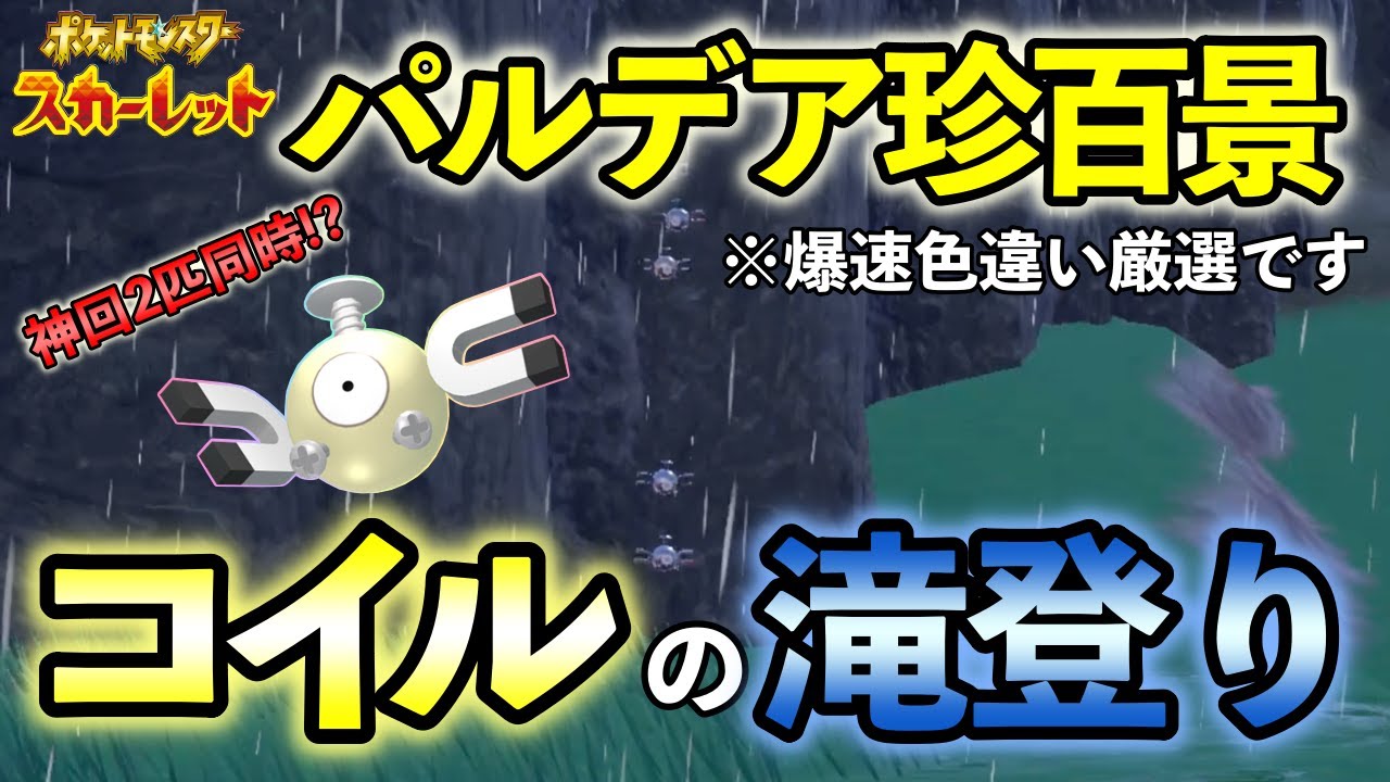 【ポケモンSV】爆速でコイルの色違い厳選をする方法をご紹介 大量発生とピクニックリセットは必要なし ジバコイル レアコイル【誰でも超簡単】