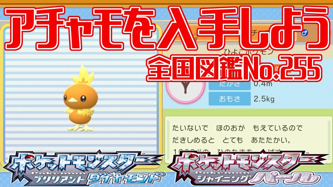 【ポケモンダイパリメイク】アチャモを入手しよう 全国図鑑No.255【ポケットモンスター ブリリアントダイヤモンド・シャイニングパール】Pocket Monsters