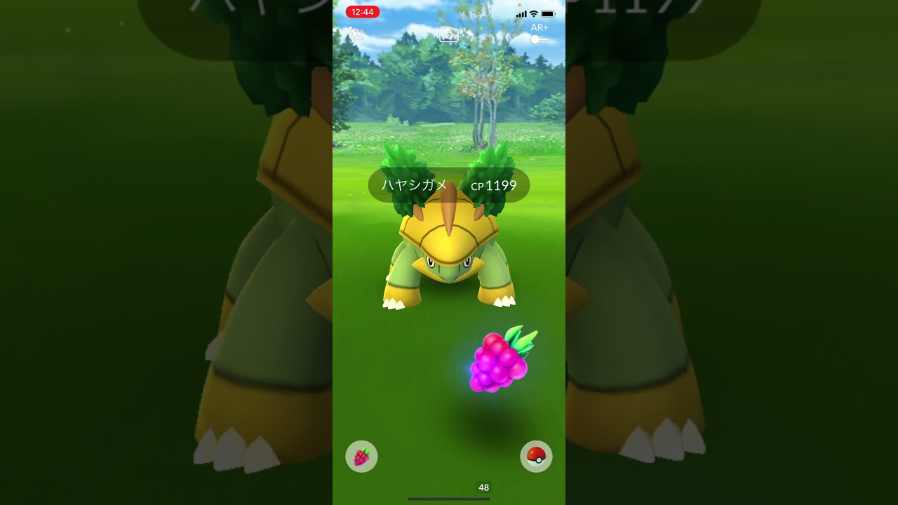 【ポケモンGO】ハヤシガメ　エクセレントスロー　マジでヤバ過ぎる　＃Shorts