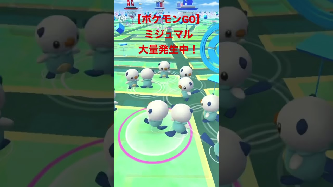 【ポケモンGO】ミジュマルが大量発生中です！ #shorts #ポケモンgo