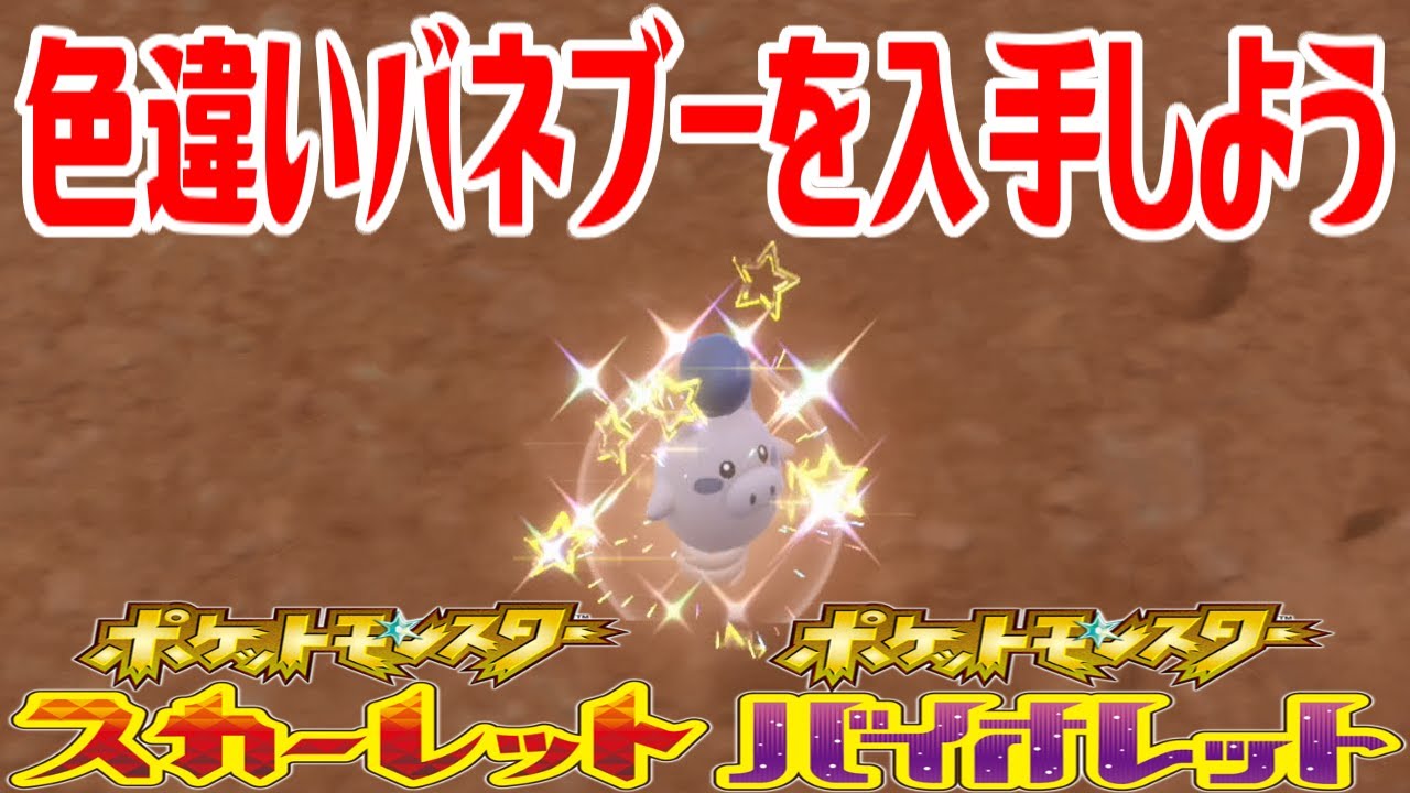 【ポケモンSV】色違いバネブーを入手しよう【ポケットモンスター スカーレット・バイオレット】Pocket Monsters