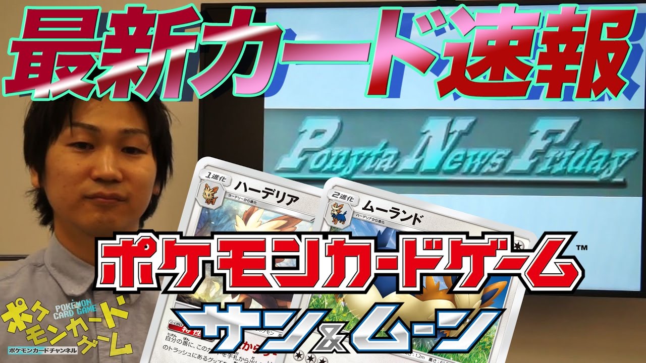 【最新情報】「コレクション サン」ハーデリア・ムーランドを紹介！