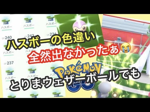 ハスボーの色違い率どうだったのかな？【ポケモンGO】