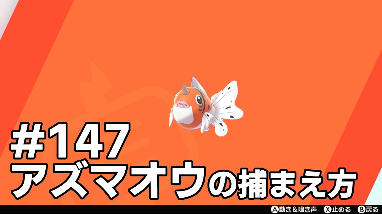 アズマオウを探している方に見てほしい動画