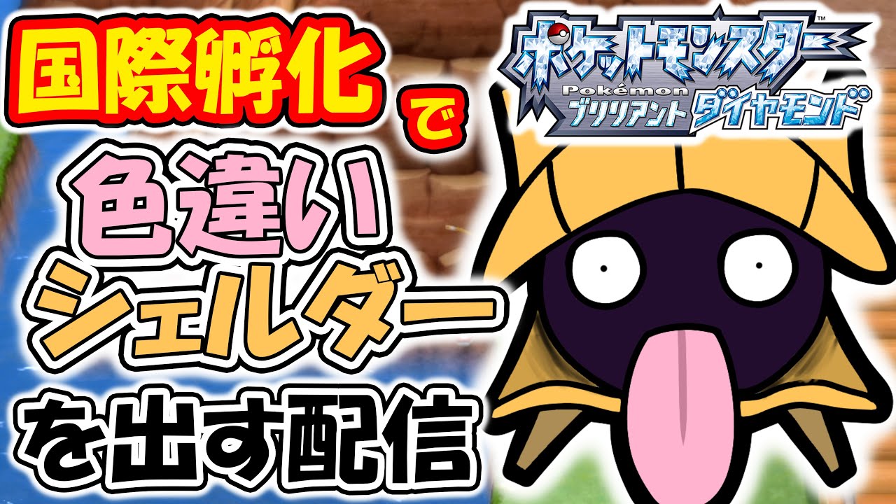 【ダイパリメイク】国際孵化で色違いシェルダーをだしたい男