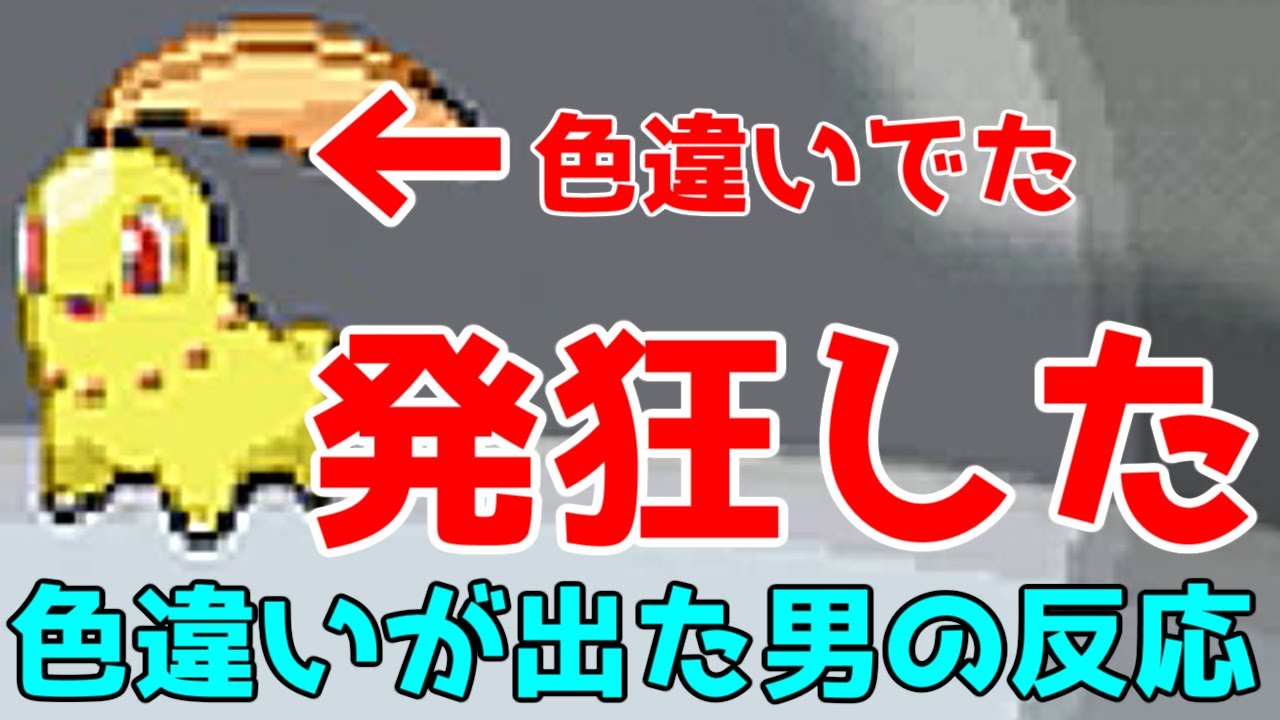【ポケモンHGSS】御三家色違いが出たときの反応が・・・