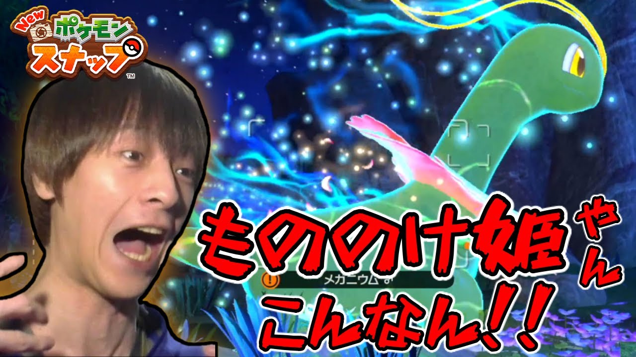 もののけ姫みたいなメガニウムが撮れた回【2021/04/30】