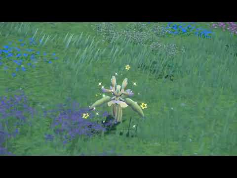 ラランテス　色違い