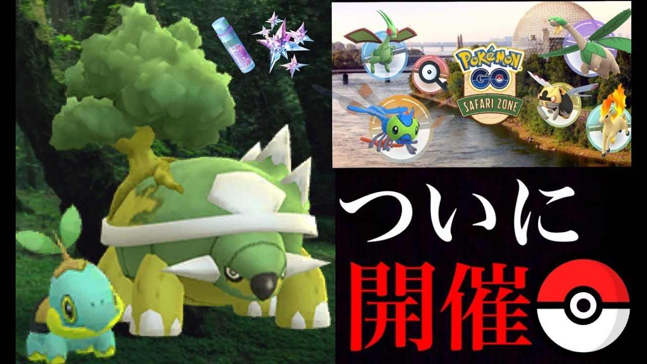 【ポケモンGO】ナエトルデイは砂３倍の大チャンス！サファリゾーンで色違いヤンヤンマが世界で登場する・・？【コミュニティデイ】