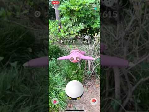 ポケモンGO  ピンク ナマケロ