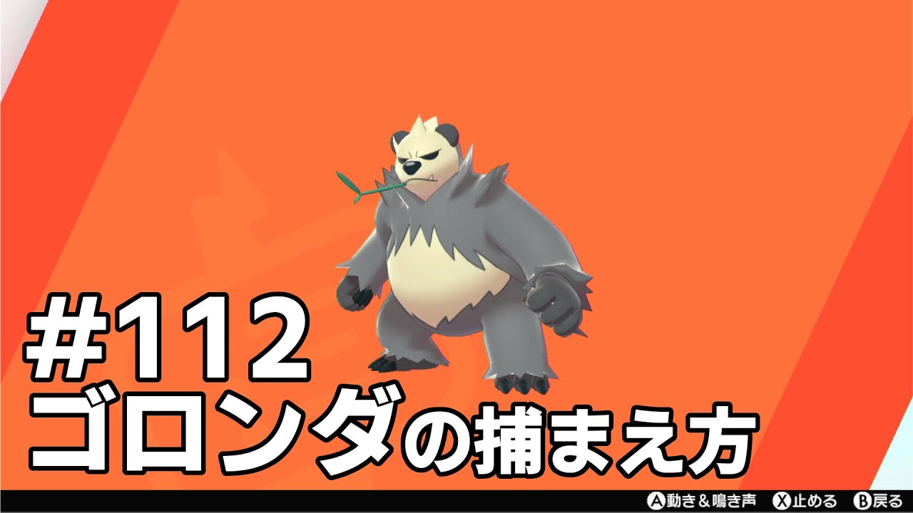 ゴロンダを探している方に見てほしい動画