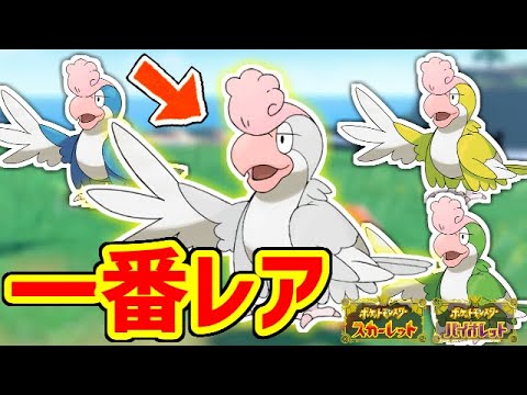 【ポケモンSV】実は白イキリンコが一番レアって知ってた？？