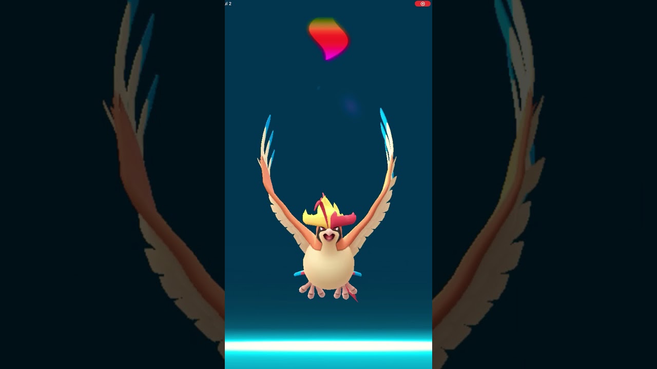 ピジョット、メガ進化!! ( Pokemon GO ) #mega #shorts #shortsverse