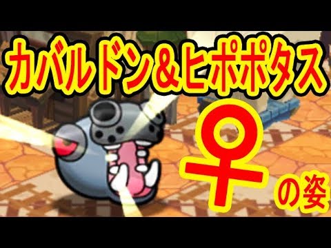 連続更新！【カバルドン＆ヒポポタス♀の姿がサファリで登場！】マンスリーピカチュウ＆ラストワン発動検証・パーフェクトジガルデノーアイテム挑戦　ポケとる実況