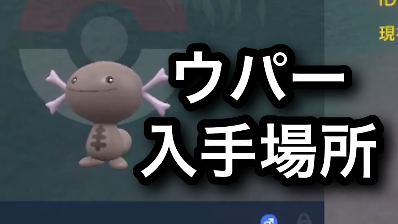 【SV】ウパー入手場所