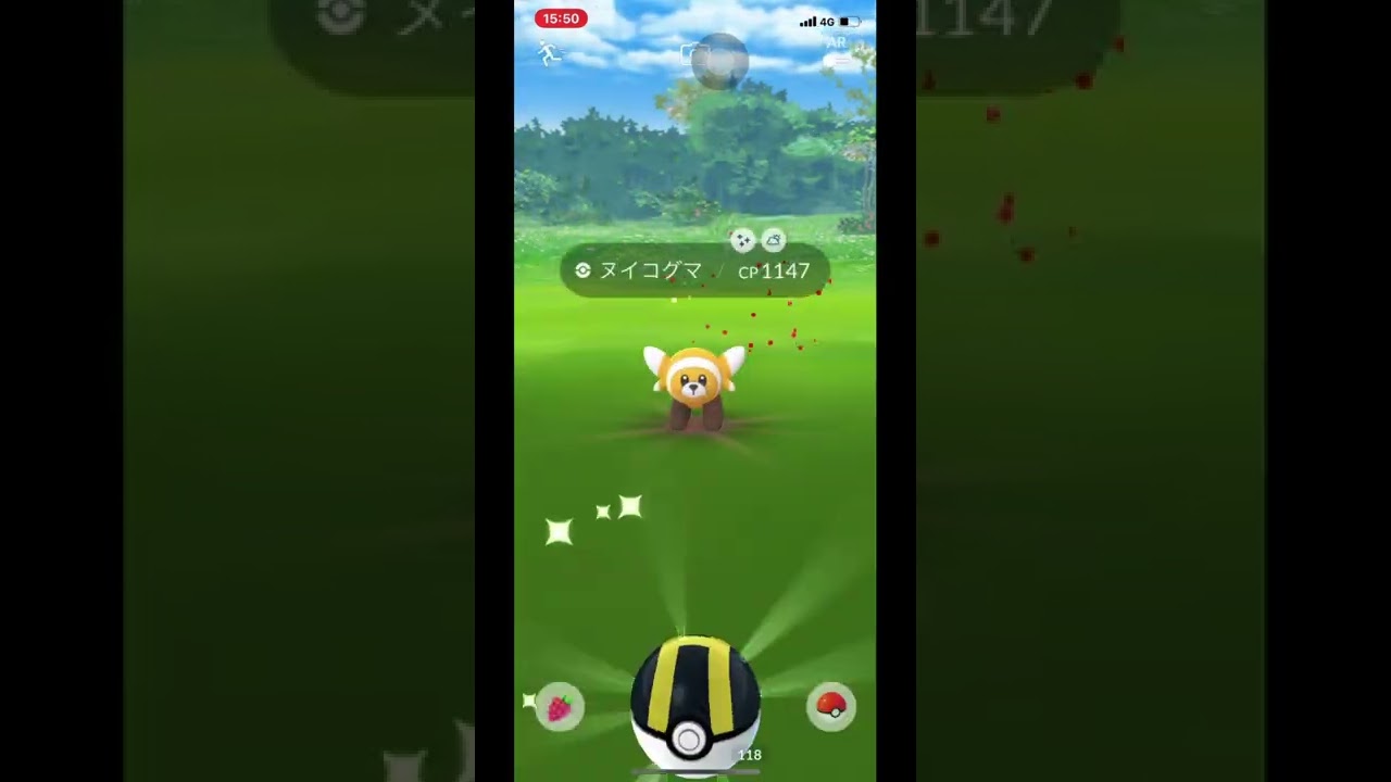 ポケモンＧＯ　コミュニティディ　ヌイコグマ色違い捕獲動画