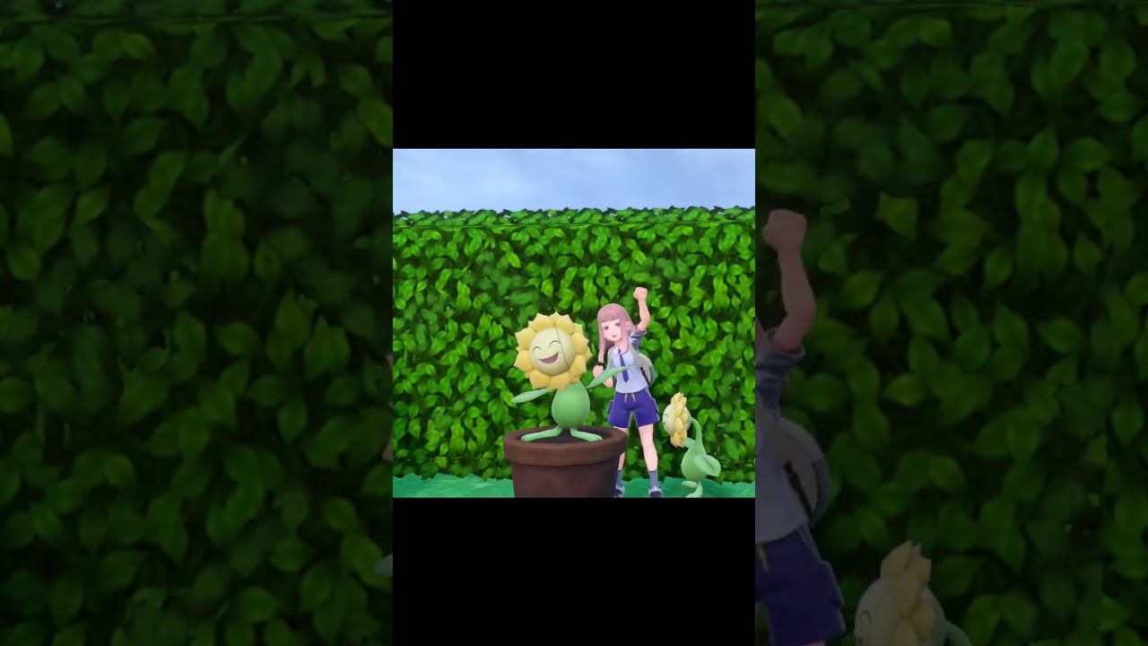 【ポケモンSV】yodeling キマワリ【音MAD】