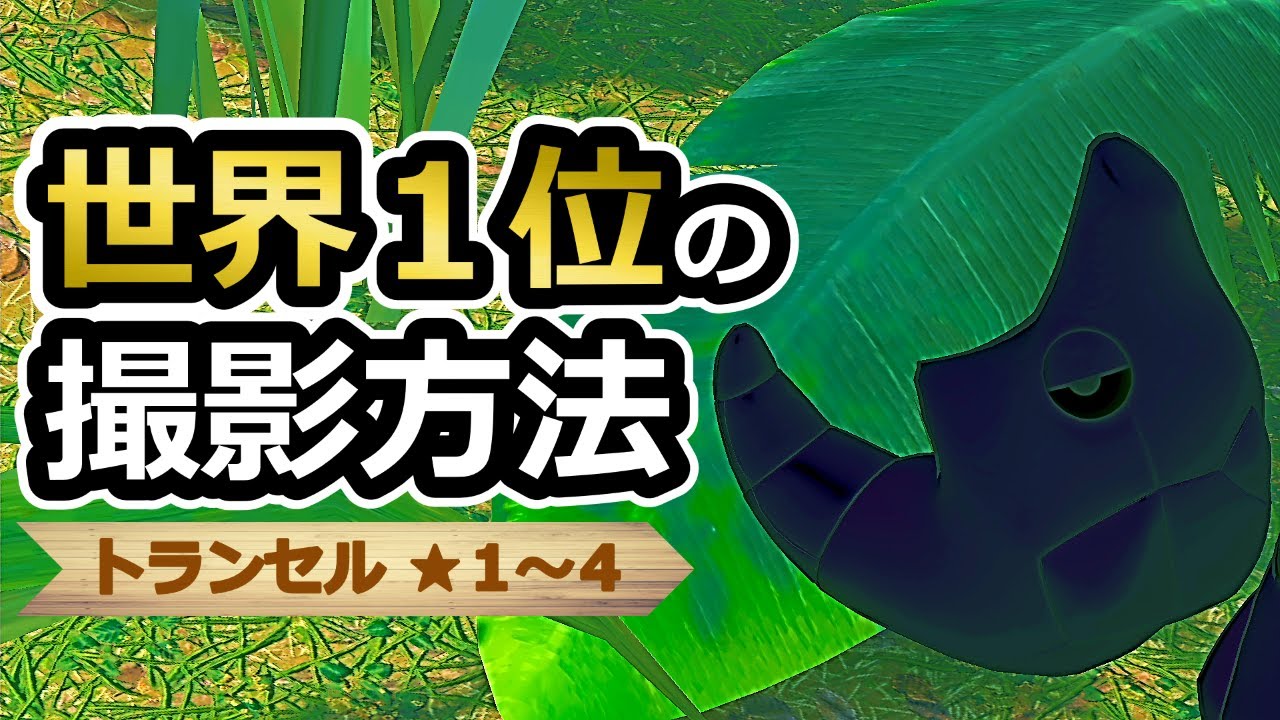 【Newポケモンスナップ】トランセル星１~星４ ハイスコア撮影方法【高得点/攻略】
