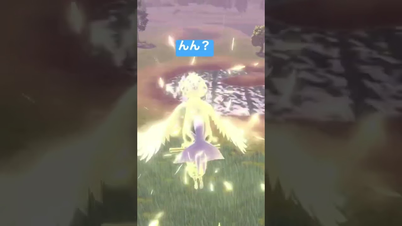 ゴンベ色違い！！