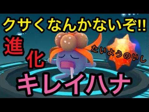 【ポケモンGO】進化実況！ナゾノクサから一気にキレイハナへ！