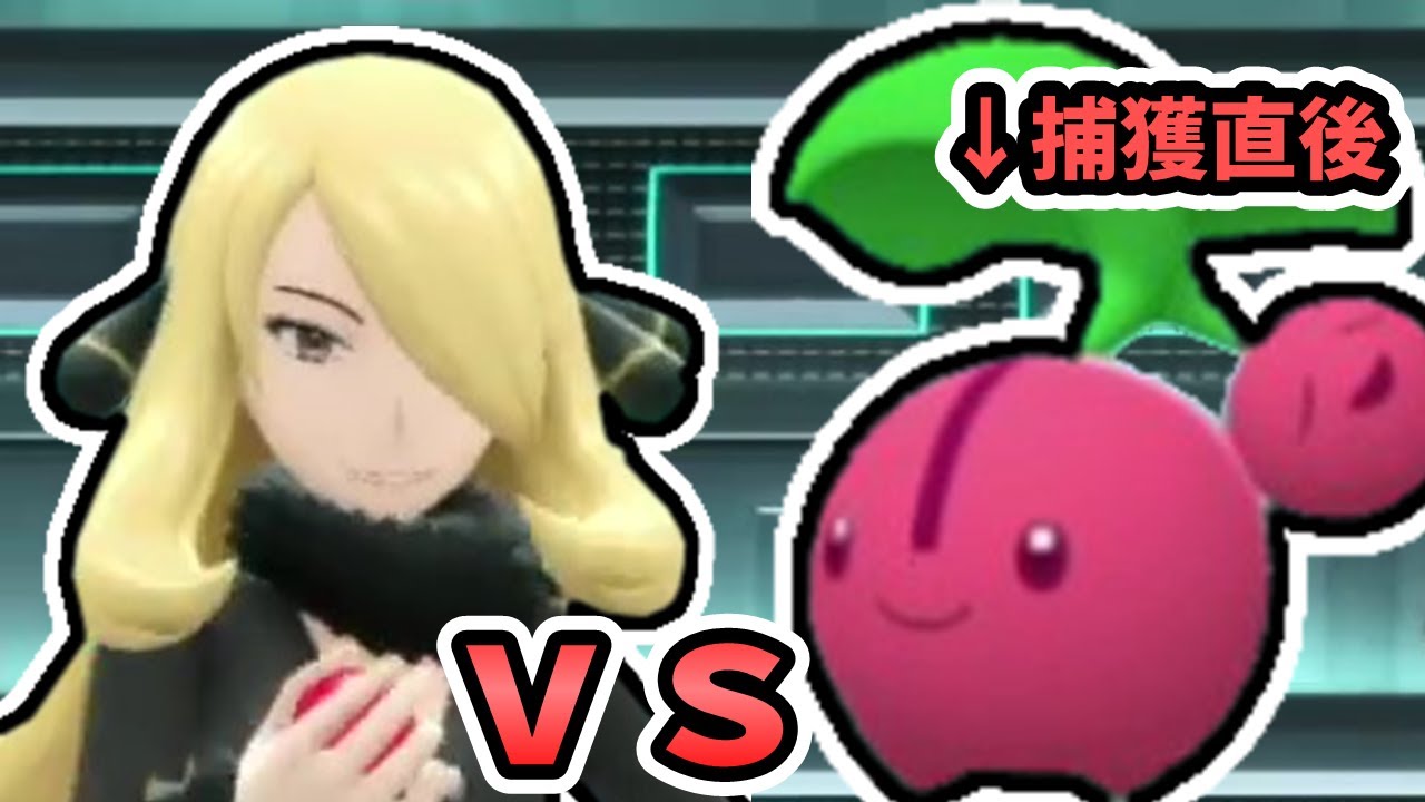 シロナさんに捕獲直後のチェリンボ１匹で挑んでみました【ポケモンBDSP】