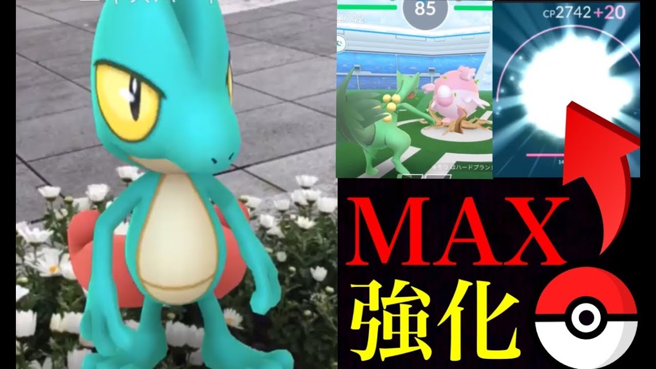 【ポケモンGO】最強！MAX強化ハードプラントのジュカインでハピナスなど８体に挑む！色違いキモリみんなはどうだった？【コミュニティデイ】