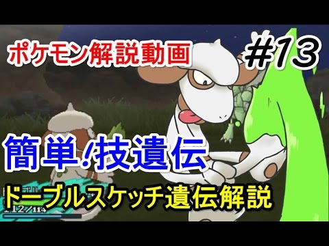 【ポケモン】ドーブルで簡単、遺伝技習得方法まとめ！ 初心者のためのポケモン解説 #13【サン・ムーン】【Pokemon sun and moon】