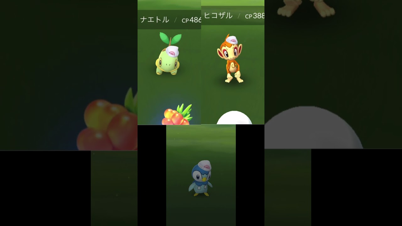 ダイパイベント 帽子御三家 ナエトルヒコザルポッチャマ！コレクションチャレンジ #ポケモンgo ＃コレクションチャレンジ #ポケモンBDSP #pokemon