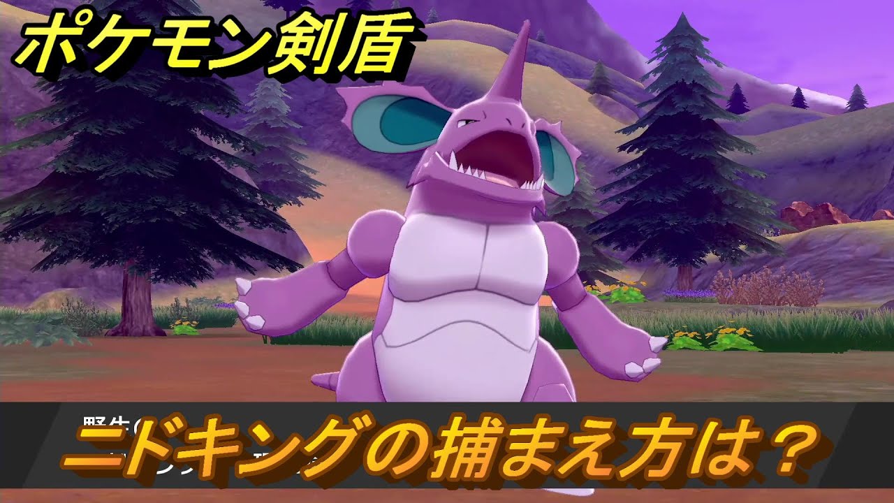 ポケモン剣盾　ニドキングを捕まえる方法！オススメの場所は？天気は？ポケモン図鑑コンプへの道！　最新版【ポケモンソード・シールド】