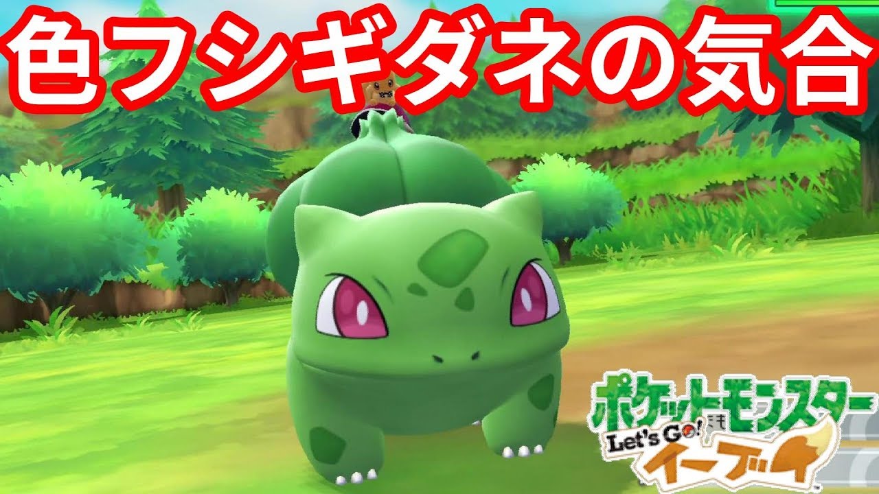 当たって砕けない！色違いフシギダネの気合！【ポケモンLet'sGO！イーブイ】
