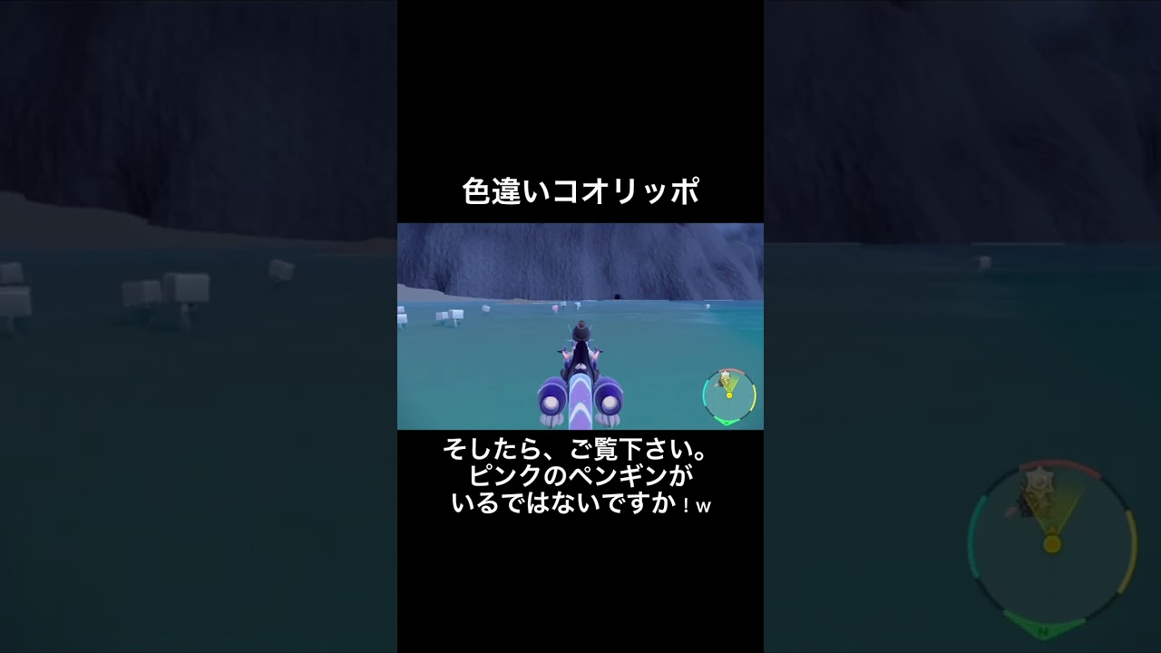 【ポケモンSV】色違いコオリッポがそこにいましたw #ポケモンsv #色違い #ポケットモンスター #色違い厳選