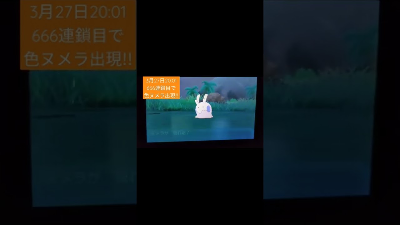 【USUM】助け連鎖で低確率出現の色違いヌメラ遂に出現!666連鎖目で来てくれました。 雨限定&ヌメラ自身は仲間呼びをしないのでなかなか難しかったです（3月27日20時） #shorts  #USUM