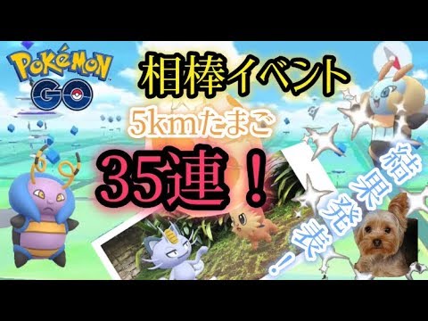 【ポケモンGO】5kmたまご35連⁉︎相棒イベントで色違いバルビート&イルミーゼ入手なるか？-レオンチャンネルSP-