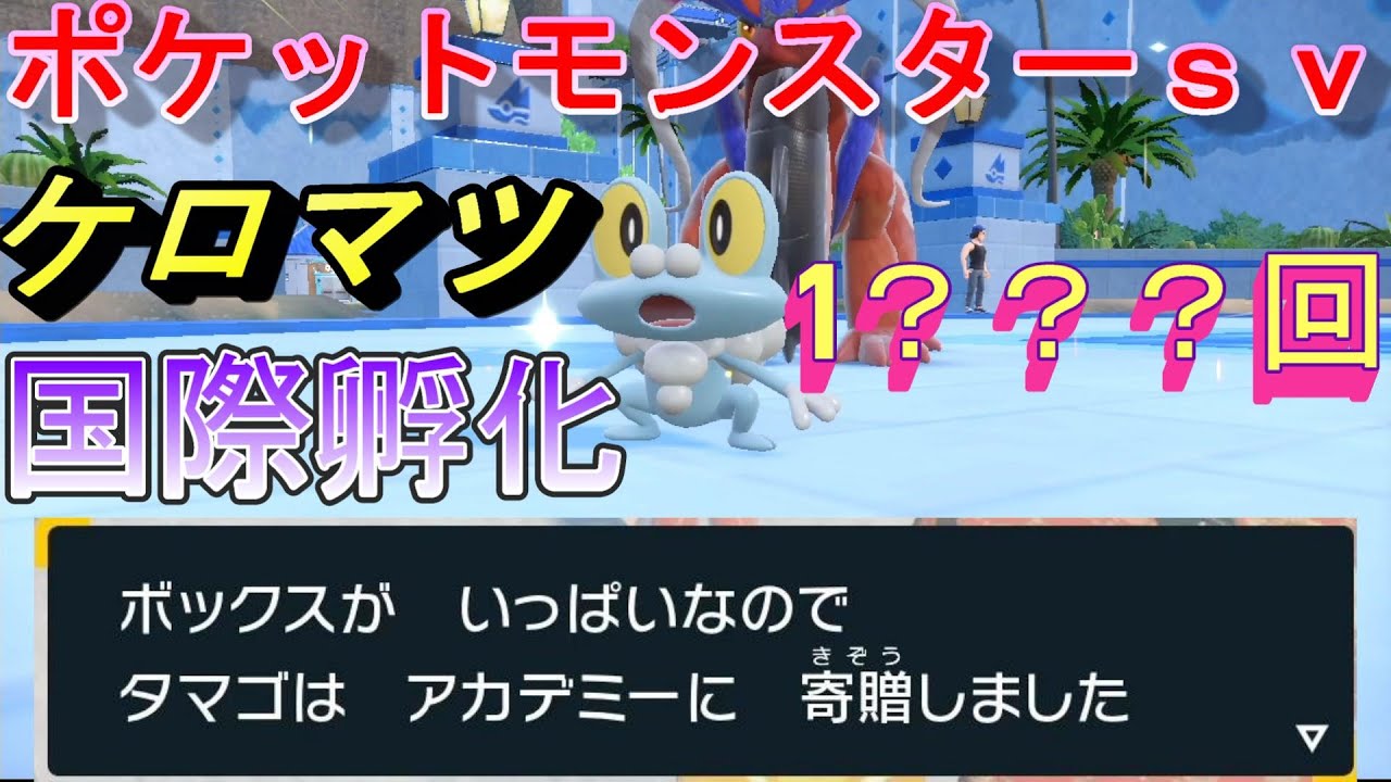 ケロマツ　色違い厳選　最強ゲッコウガ　ポケットモンスターｓｖ