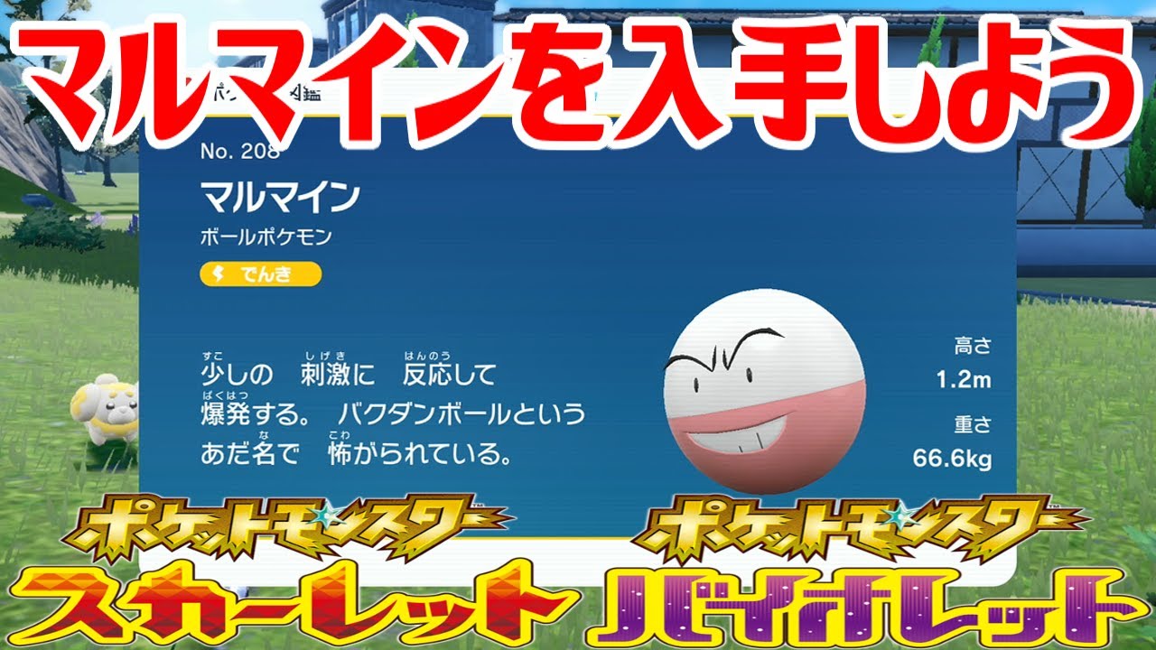 【ポケモンSV】マルマインを入手しよう【ポケットモンスター スカーレット・バイオレット】Pocket Monsters