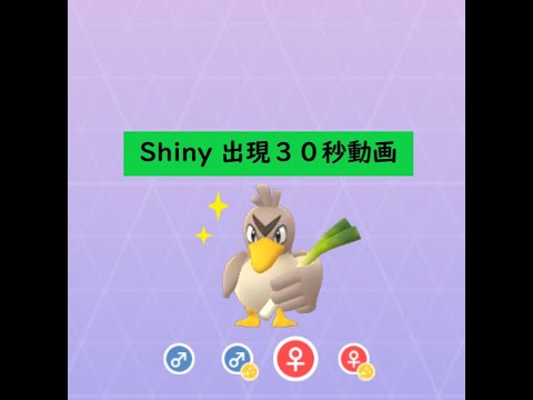 【Pokémon GO】 Rarity ”D”＃083 カモネギ ☆shiny☆#Shorts