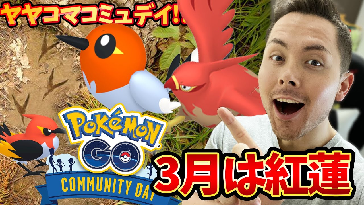 3月コミュデイはヤヤコマ⁉超最強ファイアローの育成と紅蓮の色違い高個体値を狙え！！【ポケモンGO】